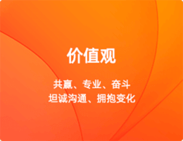 價值觀:共贏，專業(yè)，奮斗，坦誠溝通，擁抱變化